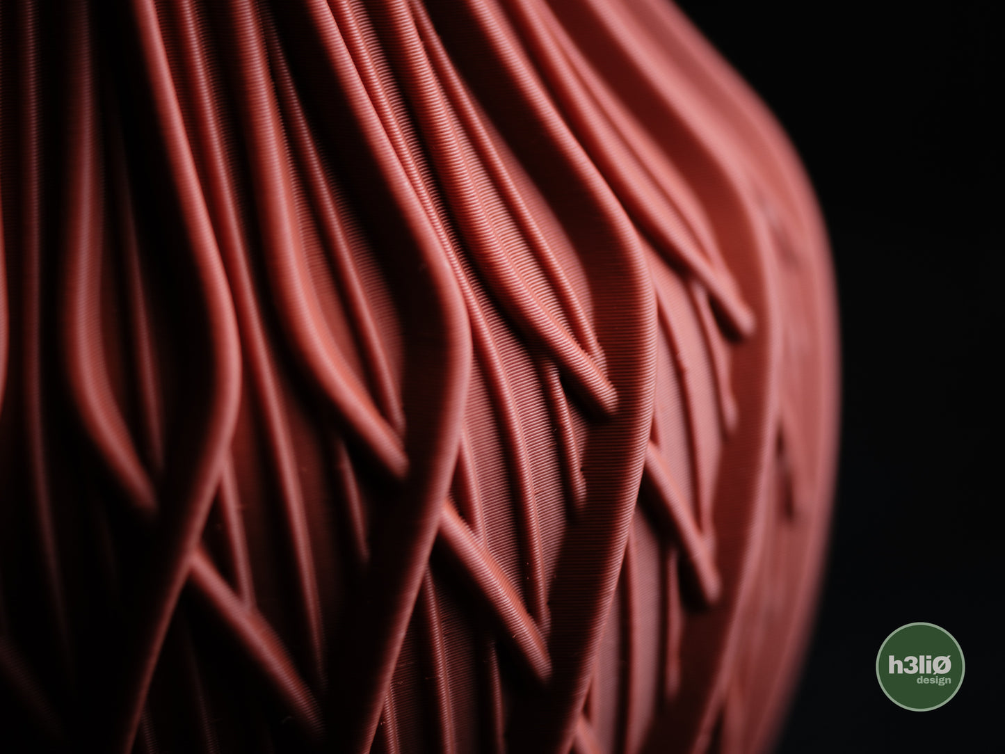 Vaso Fractal